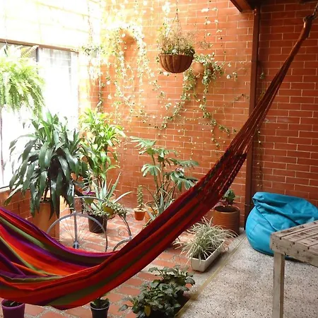 Iris Hostel Medellin-3